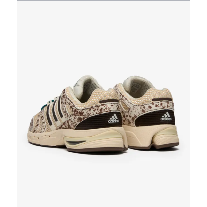 adidas Adistar Control 5 KJ8372 | Sketba
