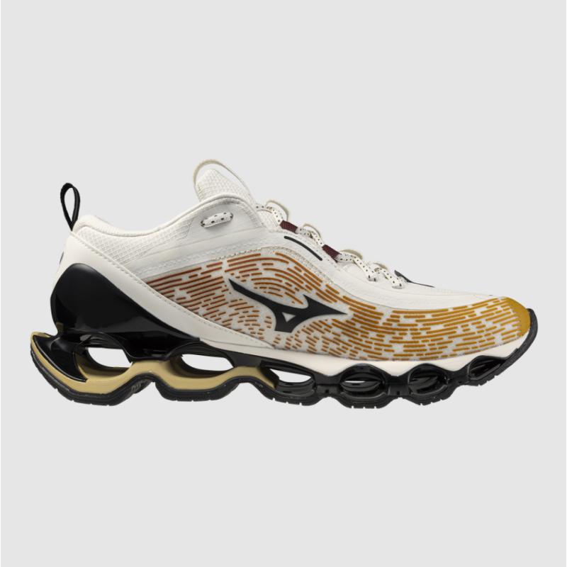 Mizuno Wave Prophecy 13.2 D1GA260H-02 | Sketba
