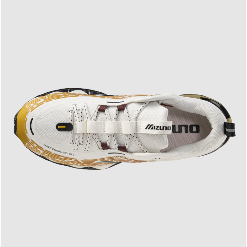 Mizuno Wave Prophecy 13.2 D1GA260H-02 | Sketba