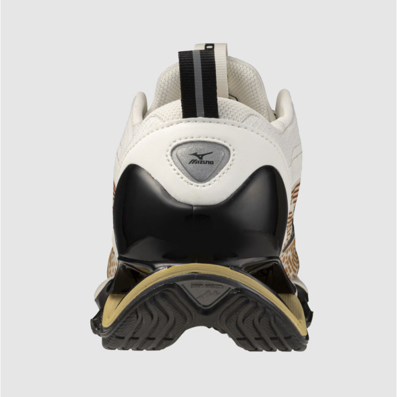 Mizuno Wave Prophecy 13.2 D1GA260H-02 | Sketba